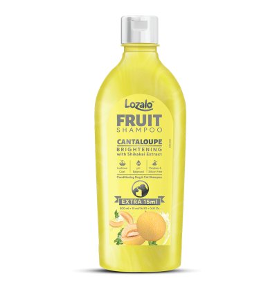 Fruit Shampoo 210ml