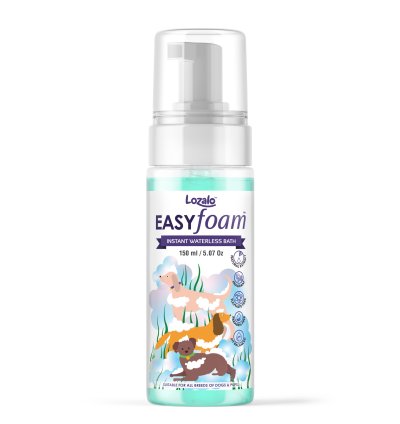 Easy Foam 150ml
