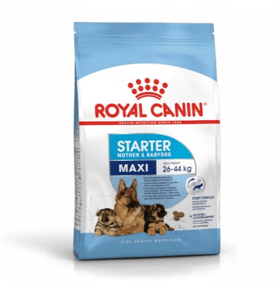 Royal Canin Maxi Starter